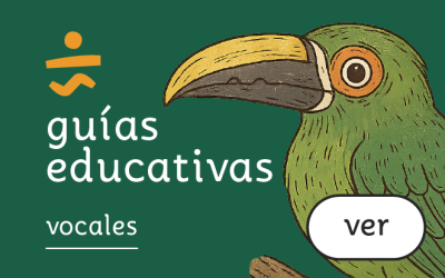 guías educativas: vocales